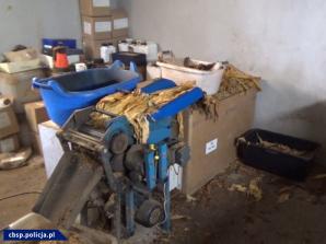 Kalisz: Zlikwidowane kolejne linie produkujące krajankę tytoniową