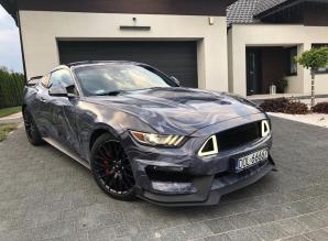 Rutkowski: Zaginął mieszkaniec Żar wraz z luksusowym Fordem Mustangiem! Wiesz, co się z nim stało w Polsce lub Niemczech? Dzwoń na numer alarmowy 600 007 007!