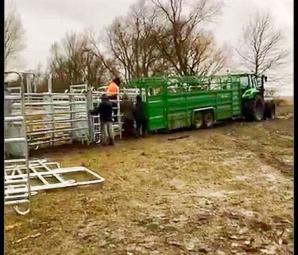 [VIDEO] 423 000 zł od Skarbu Państwa domaga się rolnik Grzegorz Piotrowski spod Gorzowa Wlkp. Za finansowy chaos, do którego doprowadziła wobec niego i 200 sztuk bydła Izabela Kwiatkowska, szefowa Biura Ochrony Zwierząt z Zielonej Góry!