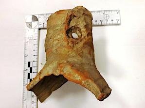 Udaremniono przemyt zabytków archeologicznych na granicy w Hrebennem