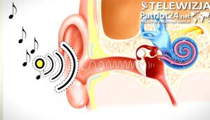   [VIDEO] Słyszę ludzi ale ich nie rozumiem. Dlaczego tak się dzieje? Nowy cykl: „Wykłady Marty Szkiełka”. To wybitna protetyk słuchu, technik audiologiczny, andragog z Żar w województwie lubuskim