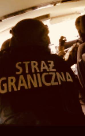 Zatrzymano 7 obywateli Turcji, w tym imigrantów i organizatorów przerzutu z Ukrainy