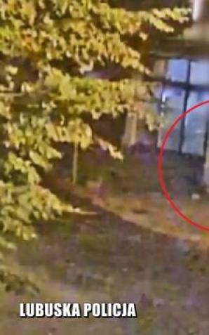 „DZIAŁANIE” WANDALA W OKU KAMERY. PODEJRZANEGO SZYBKO ZATRZYMALI POLICJANCI