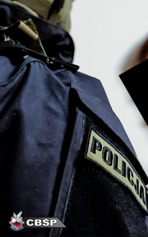 Potężne uderzenie w gang okradający tiry w Niemczech