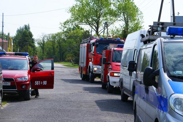 Niecodzienne kolizja pod Łodzią! Golf zderzył się z koniem