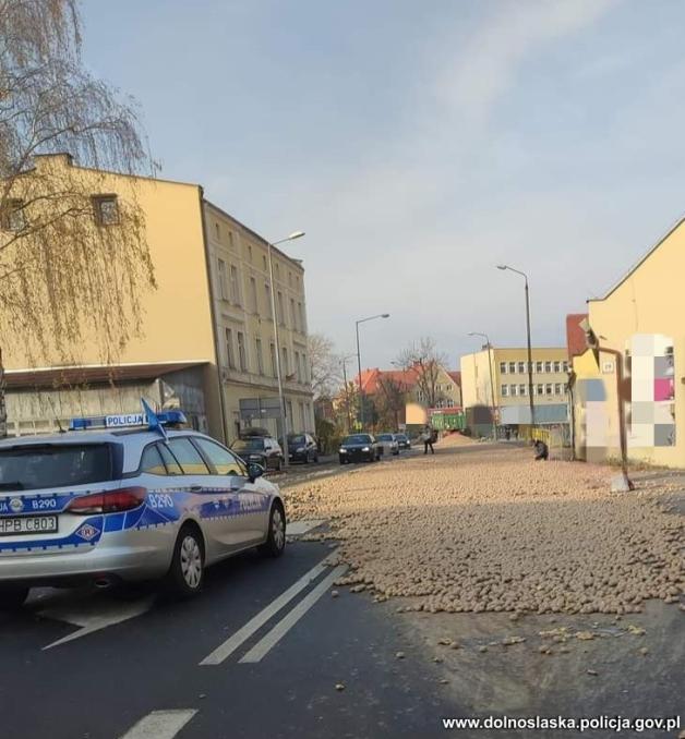 Święto ziemniaka w Oławie. Rolnik przyozdobił ulicę kilkoma tonami tego warzywa